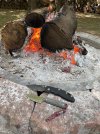 IMG_0962.jpeg