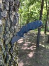 IMG_1019.jpeg