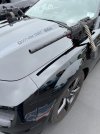 IMG_1168.jpeg