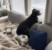 IMG_1635.jpeg