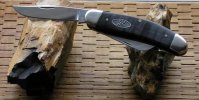 Black Curly Maple 7 .jpg