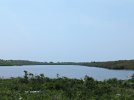 The fresh water pond.jpeg