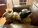 IMG_6596.jpeg