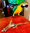 IMG_0940.jpeg