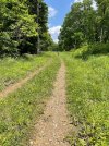 IMG_0201.jpeg
