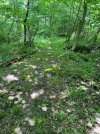 IMG_0205.jpeg