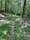 IMG_0204.jpeg