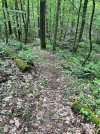 IMG_0209.jpeg