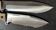 IMG_1656.jpeg