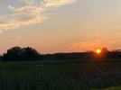 IMG_4100.jpeg