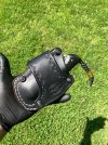 IMG_6894.jpeg