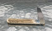 IMG_1874.jpeg