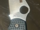 IMG_2366.jpeg
