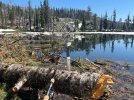 IMG_1063.jpeg