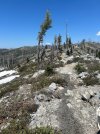 IMG_1088.jpeg