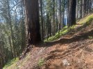 IMG_1202.jpeg