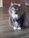 IMG_4128.jpeg