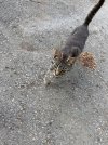 IMG_4097.jpeg