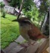 IMG_8766.jpeg