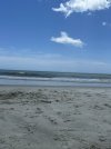 IMG_5316.jpeg