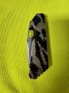thumbnail_IMG_8907.jpg