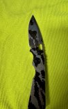thumbnail_IMG_8908.jpg