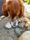 IMG_0878.jpeg