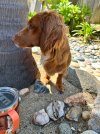 IMG_0880.jpeg