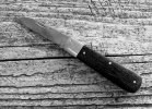 KIMG1287~3.JPG