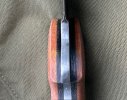 IMG_3525.jpeg IMG_3525.jpeg