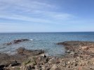 IMG_0545.jpeg
