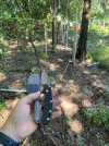 IMG_1412.jpeg