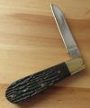 1970's Japanese Lambsfoot 1.JPG