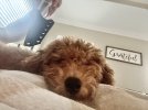 IMG_5342.jpeg
