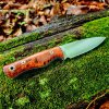 Pig46e.jpg
