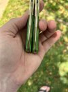 IMG_5920.jpeg