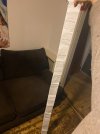 IMG_4405.jpeg
