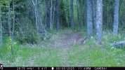 IMG_0796.JPG