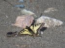 IMG_1903.JPG