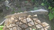 IMG_3023.jpeg