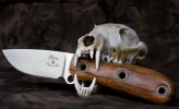 busse GW copy.jpg