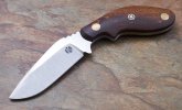 K-TUSK-Kauri1.jpg