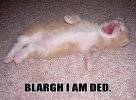 blargh I am ded2.jpg
