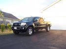 New Taco 2.jpg