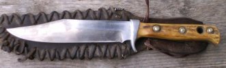 Puma Bowie.jpg