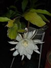DSCF2399.jpg