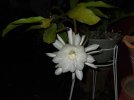 DSCF2405.jpg