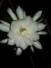 DSCF2415.jpg