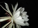 DSCF2417.jpg