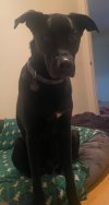 IMG_8273.jpeg